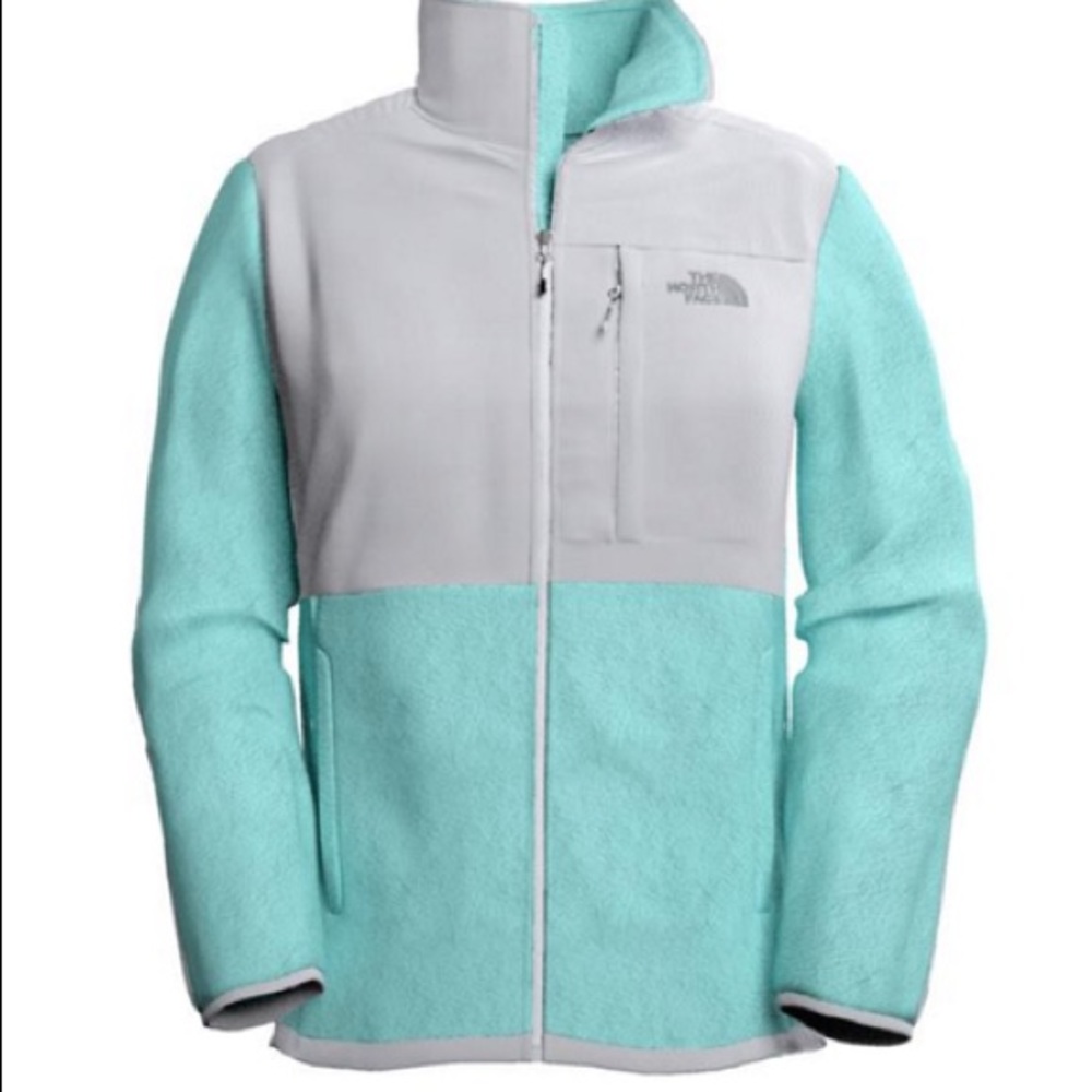 The North Face Women's Jacket in Gray and Light Blue